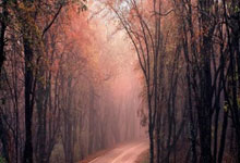 [国]22日迎战沙特 中国队力争U20世界杯入场券.