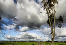 半岛体育：宫鲁鸣不再担任中国篮协副主席.