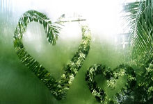 记者：塞蒂恩还停留在十多年前西班牙足球战术中，国安踢得太慢了.