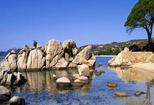 半岛体育：[乒乓球]击败格罗特 林高远晋级男单16强.